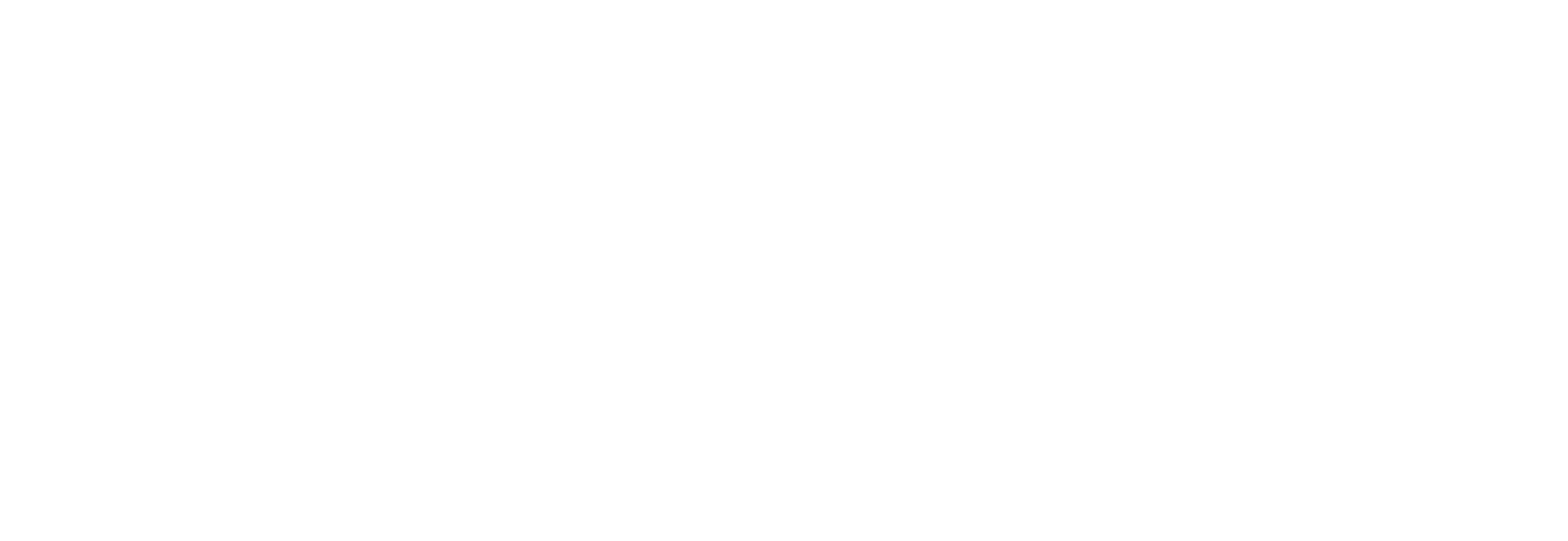 ECOGAS _BLANCO